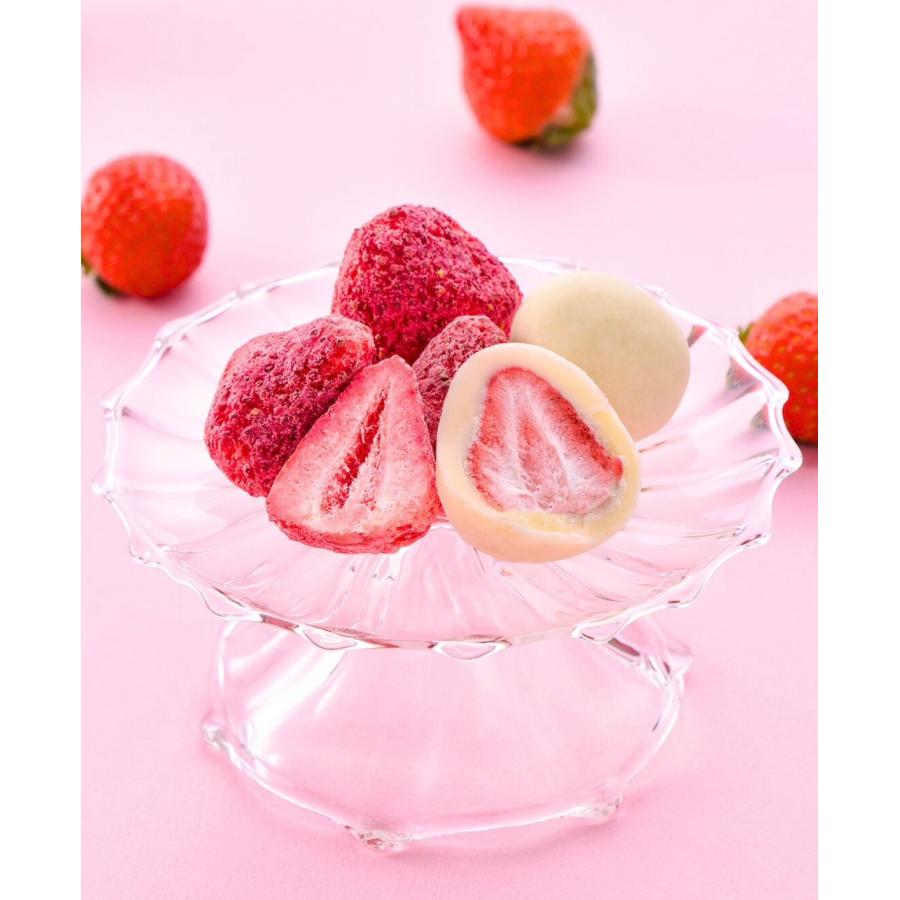 いちごの日 いちごの魔法缶 2026 ギフトバック付 バレンタイン