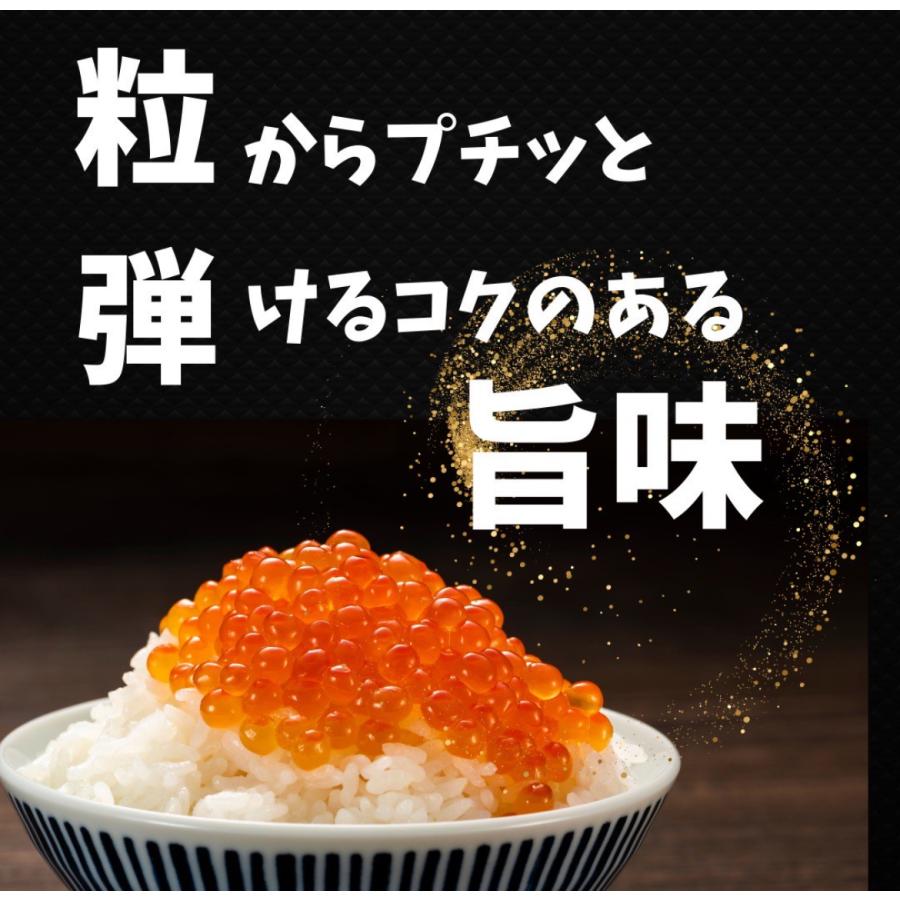 食べ切り小分け 特選 冷凍いくら 選べる80g いくら醤油漬け 北海道加工 ロシア産 いくら丼 お寿司  ギフト 御中元【80ｇ×10パック】の画像