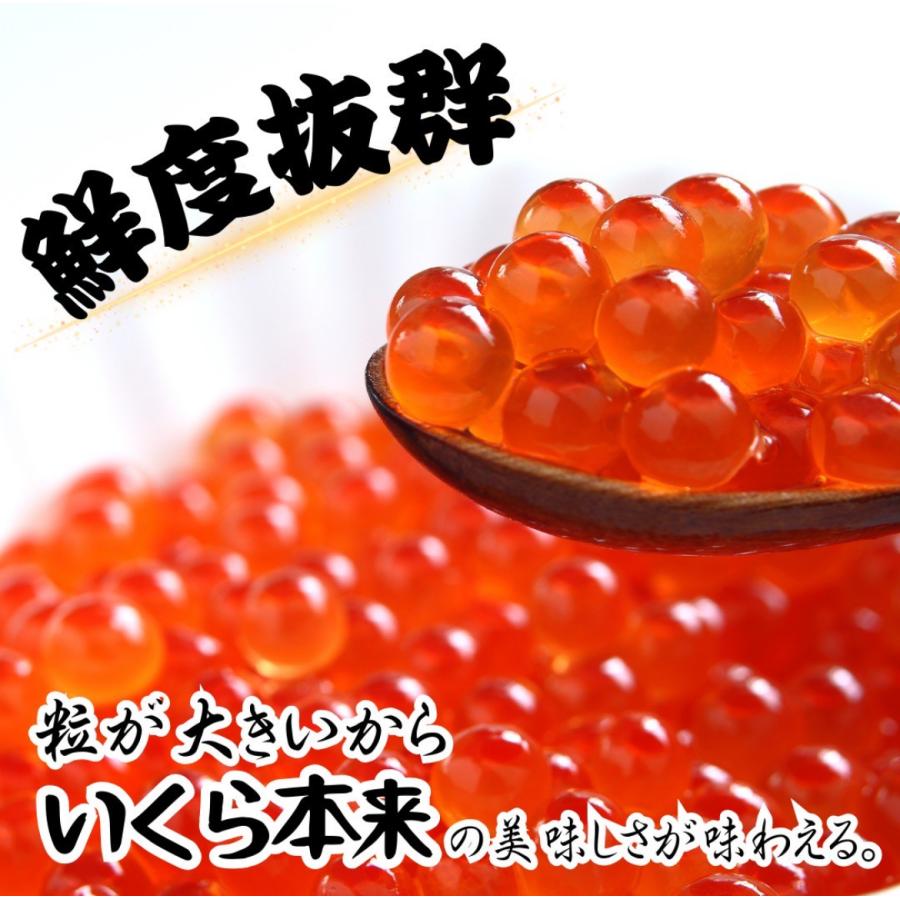 食べ切り小分け 特選 冷凍いくら 選べる80g いくら醤油漬け 北海道加工 ロシア産 いくら丼 お寿司  ギフト 御中元【80ｇ×10パック】の画像