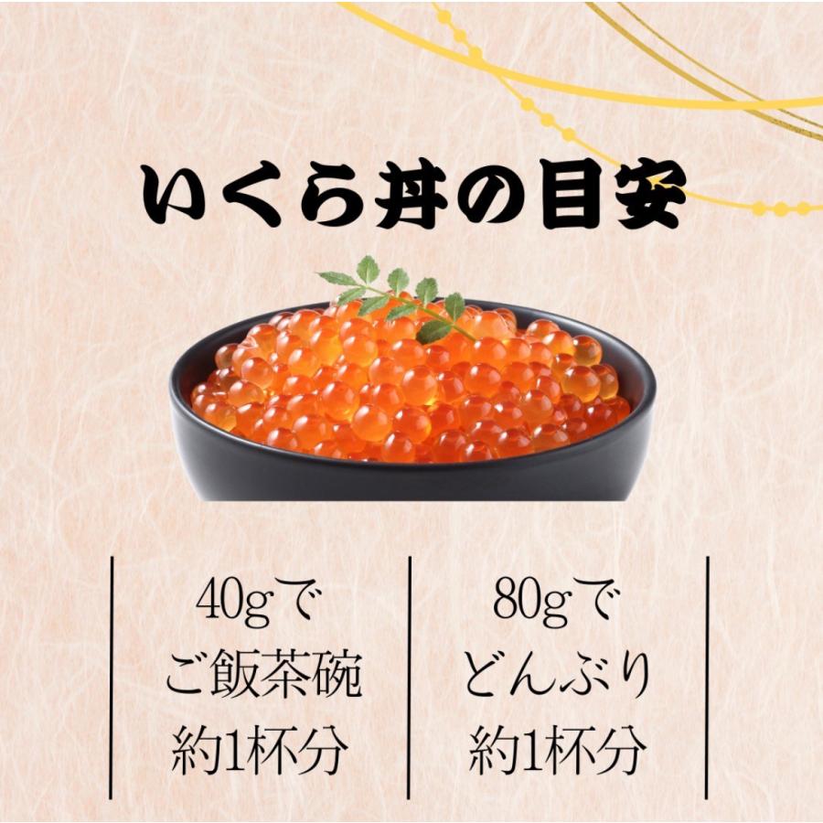 食べ切り小分け 特選 冷凍いくら 選べる80g いくら醤油漬け 北海道加工 ロシア産 いくら丼 お寿司  ギフト 御中元【80ｇ×10パック】の画像