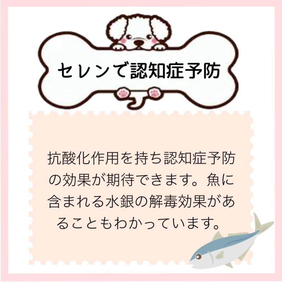 鯵ジャーキー あじジャーキー 犬用おやつ 犬用ジャーキー ペット健康おやつ ペットフード研究所 国産 無添加  犬用 健康おやつ オメガ3脂肪酸 (1kg)の画像