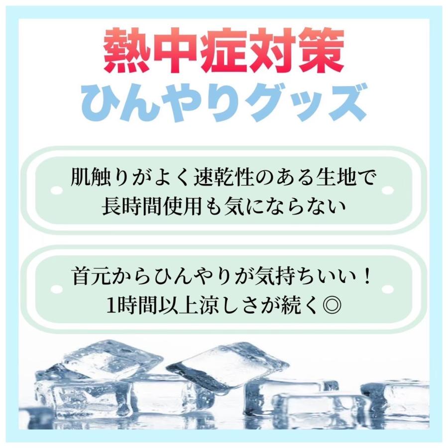 日本製 2025年モデル】 ネッククーラー 交換用保冷剤 熱中症対策グッズ 