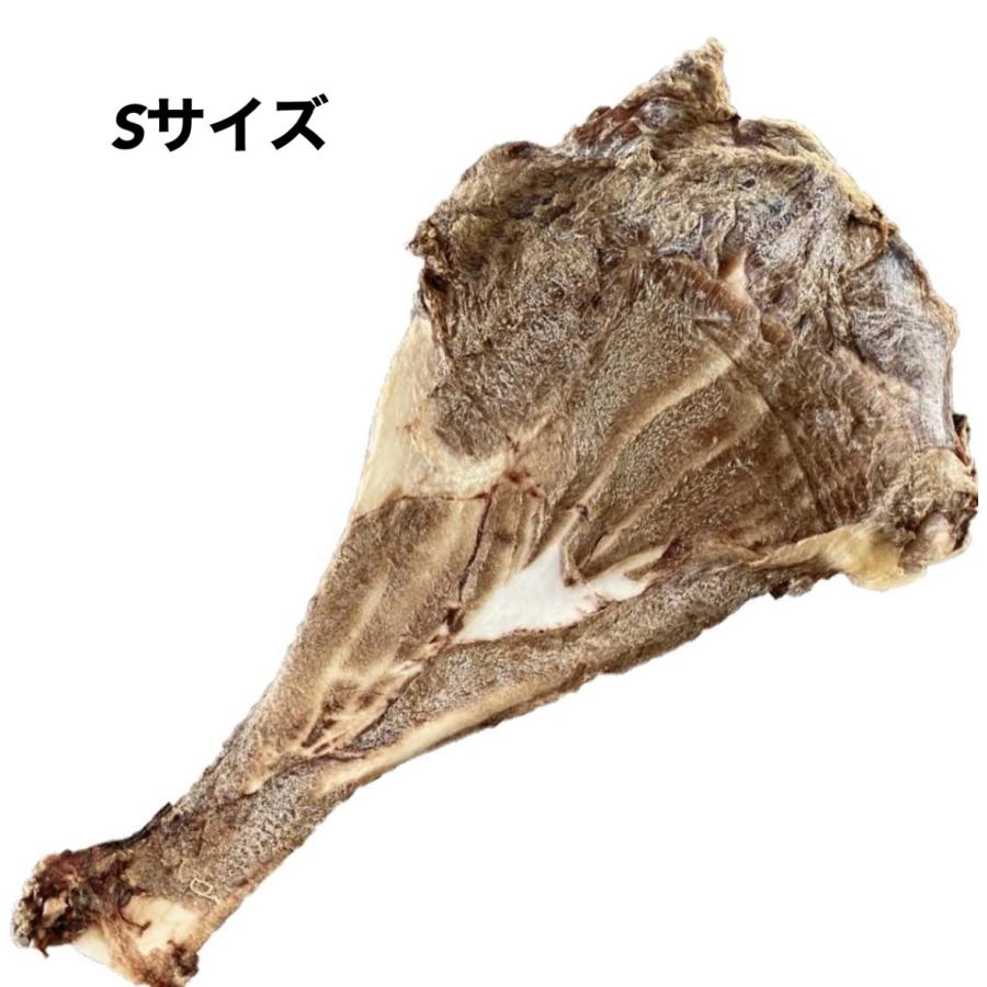 獣医師監修 ペットフード研究所 【 国産 無添加 】 小型犬 中型犬 大型犬 鹿のけんこう骨 肩甲骨 グルテンフリー 鹿骨 犬のおやつ(1枚 小サイズ) | 