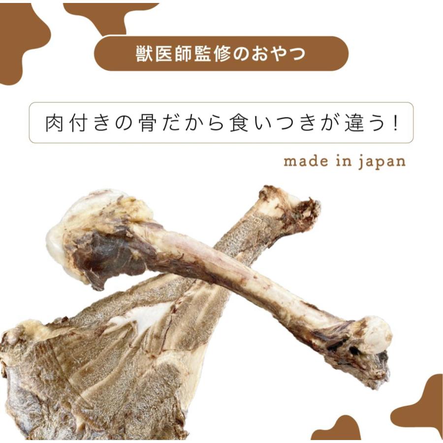 獣医師監修 ペットフード研究所 【 国産 無添加 】 小型犬 中型犬 大型犬 鹿のけんこう骨 肩甲骨 グルテンフリー 鹿骨 犬のおやつ(1枚 小サイズ) |  | 01