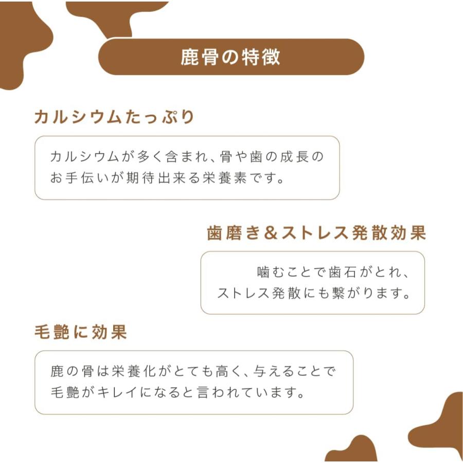 獣医師監修 ペットフード研究所 【 国産 無添加 】 小型犬 中型犬 大型犬 鹿のけんこう骨 肩甲骨 グルテンフリー 鹿骨 犬のおやつ(1枚 小サイズ) |  | 02