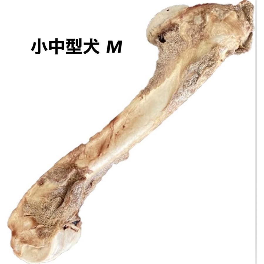 獣医師監修 ペットフード研究所 【 国産 無添加 】 小型犬 中型犬 大型