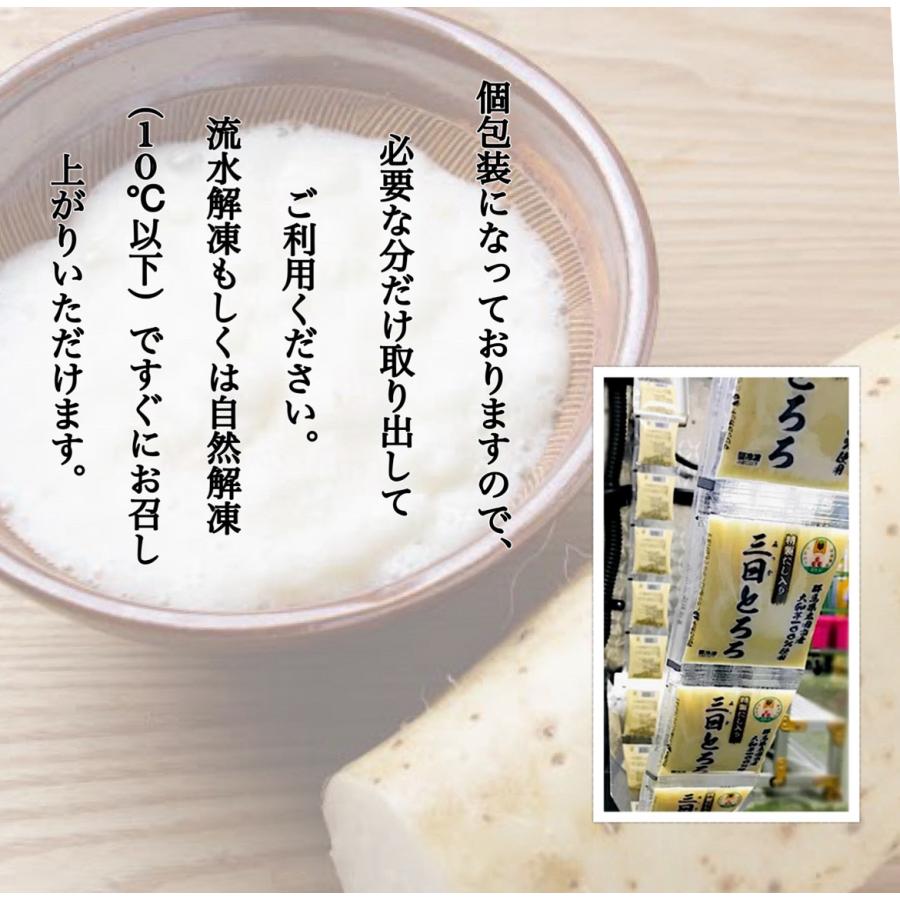 国産】 特製だし入り三日とろろ 冷凍 (60gパックx20袋) ×3セット群馬