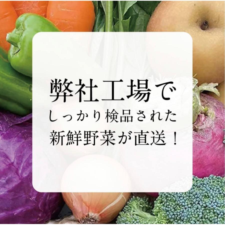泉州八百屋 【 朝採れ新鮮 】安心 夏季冷蔵便 厳選 野菜 詰め合わせ
