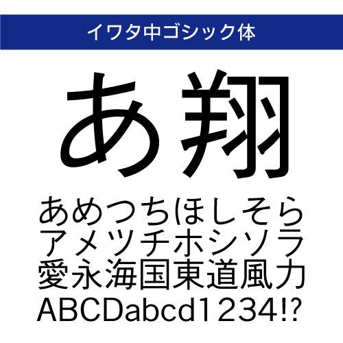 正規品】 TrueType イワタ中ゴシック体 ダウンロード版 【3時間で