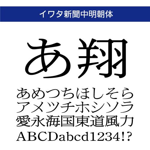 【正規品】 TrueType イワタ新聞中明朝体 ダウンロード版 【3時間でメール納品】_1