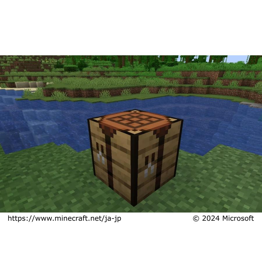 マイクロソフト 【正規品】 マインクラフト Minecraft: Java マイクロソフト 【正規品】 マインクラフト Minecraft: Java
