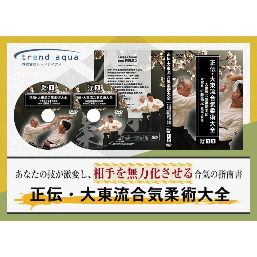 正伝・大東流合気柔術大全〜あなたの技が激変し相手を無力化させる合気
