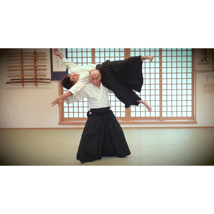 正伝・大東流合気柔術大全〜あなたの技が激変し相手を無力化