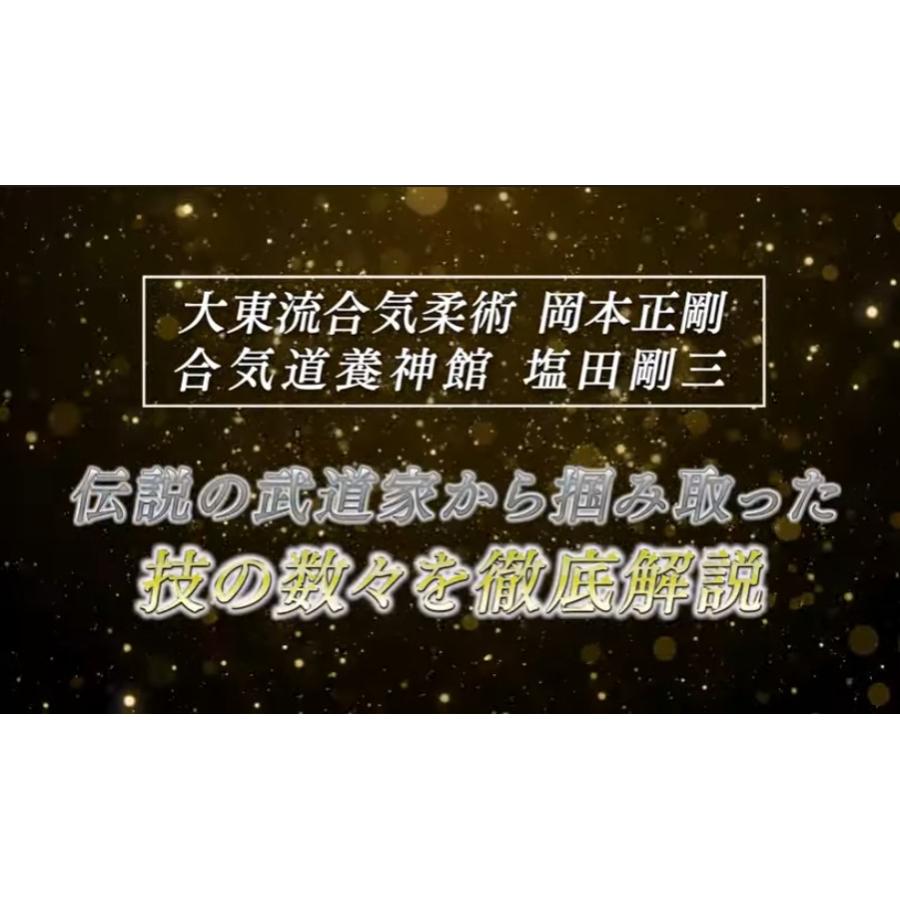 大東流合気柔術の極意〜一瞬で相手を無力化する合気の教科書〜【監修