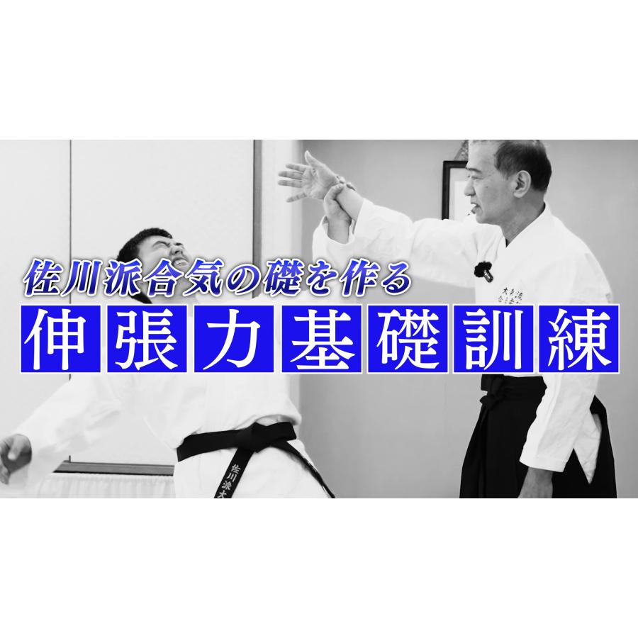 名人・佐川幸義が遺した秘伝の技と合気養成術(大東流合気柔術錬体会第 