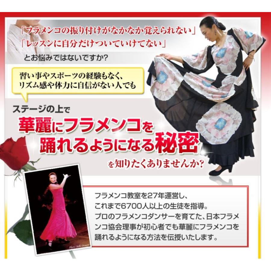 フラメンコを住み処で御師匠さん フラメンコ未経験者へ贈る鈴木眞澄のフラメンコ習い事ヴィデオディスク お召しもの シューズ ギター スコート 靴 DVD、映像ソフト-ダンス