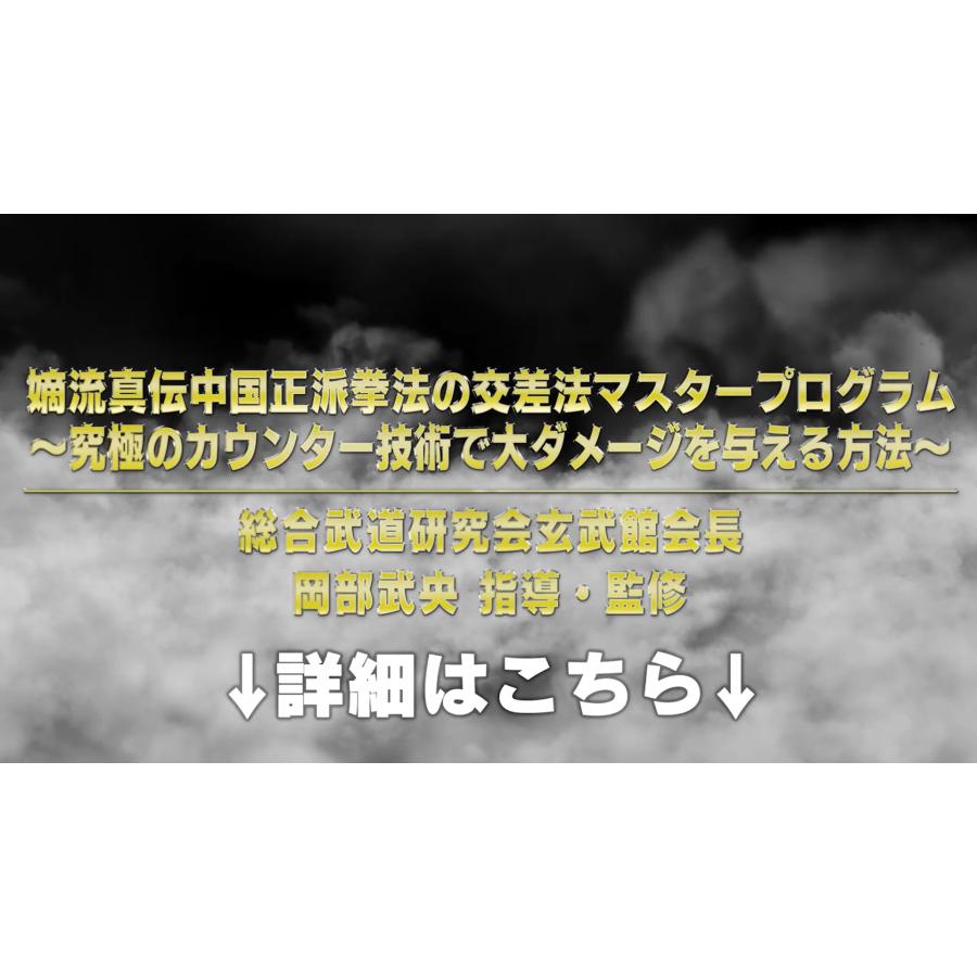 嫡流真伝中国正派拳法の交差法マスタープログラム〜究極の