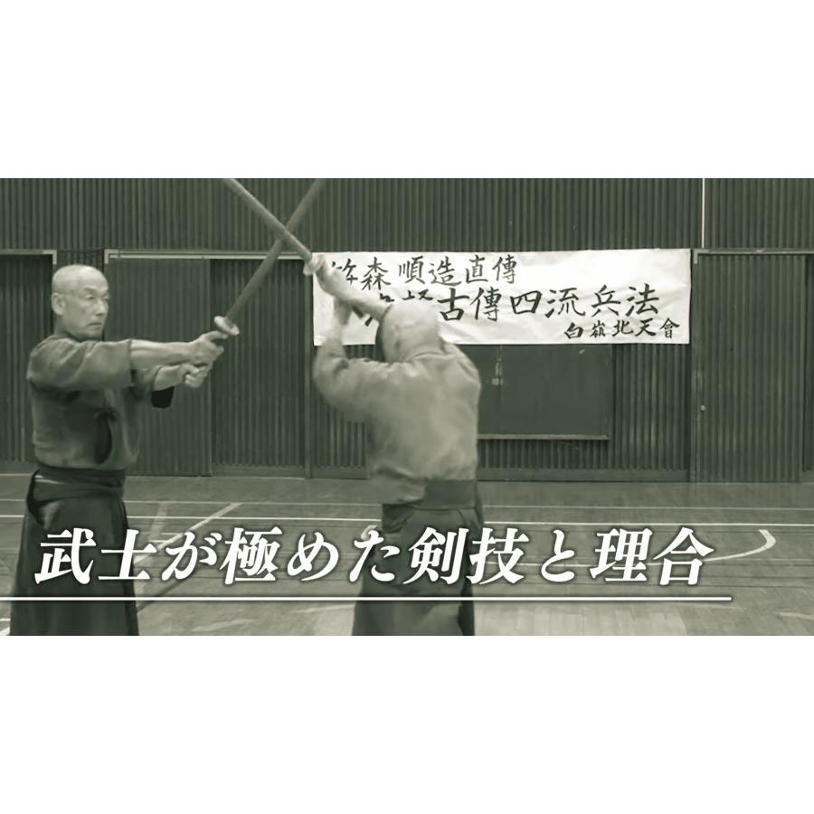 笹森順造直伝・小野派一刀流剣術の真髄【笹森順造伝承受命者 笹森順造直伝・小野派一刀流剣術の真髄【笹森順造伝承受命者