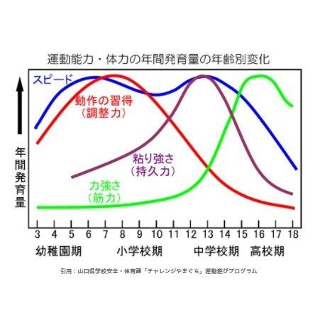 ソフトテニス運動神経 DVD 【清明学園中学校ソフトテニス部顧問 高橋茂