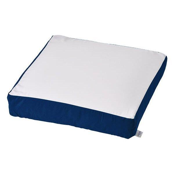 トゥルースリーパー（True Sleeper） 低反発座布団 FN005940 【正規品