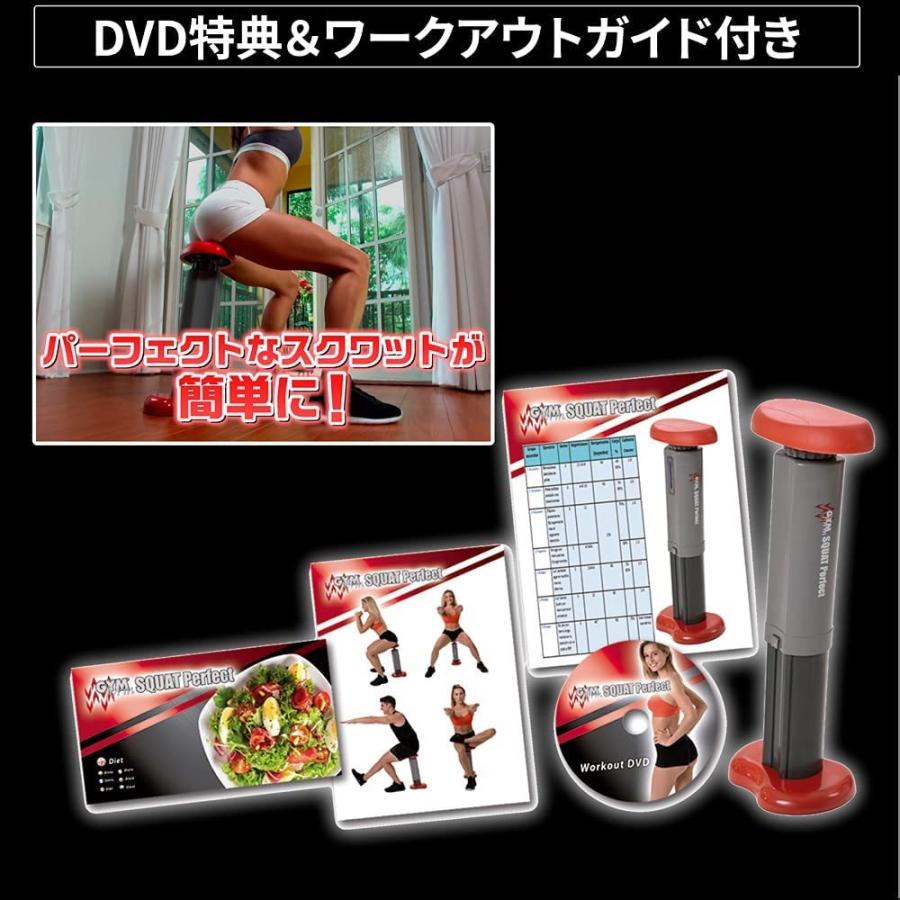 イーチャンス ジムフォーム スクワット パーフェクト スクワットマシン