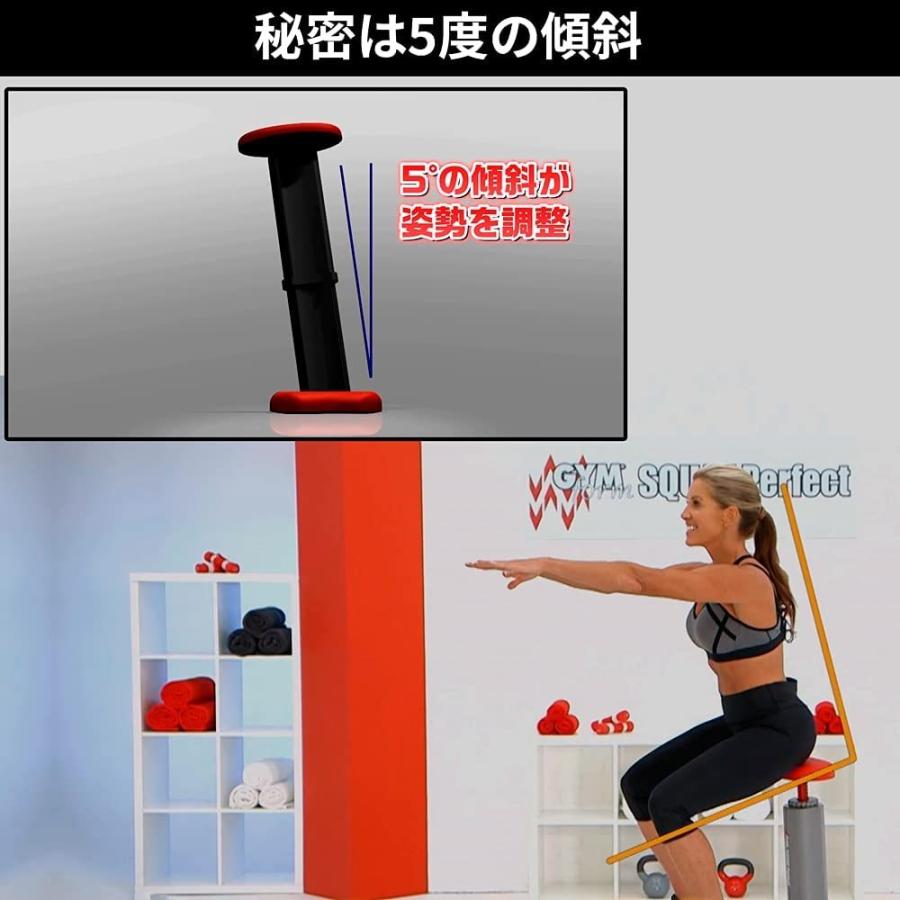 イーチャンス ジムフォーム スクワット パーフェクト スクワットマシン