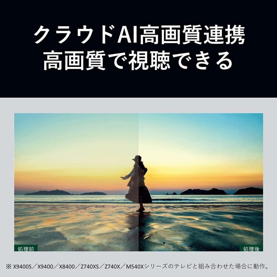 REGZA（レグザ） ブルーレイディスクレコーダー 1TB 2チューナー 2番組