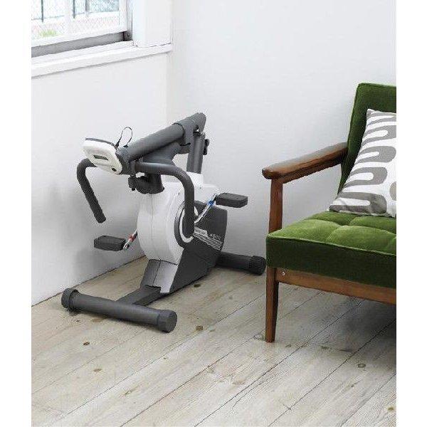 ALINCO（アルインコ） 【新品アウトレット】 エアロマグネティック