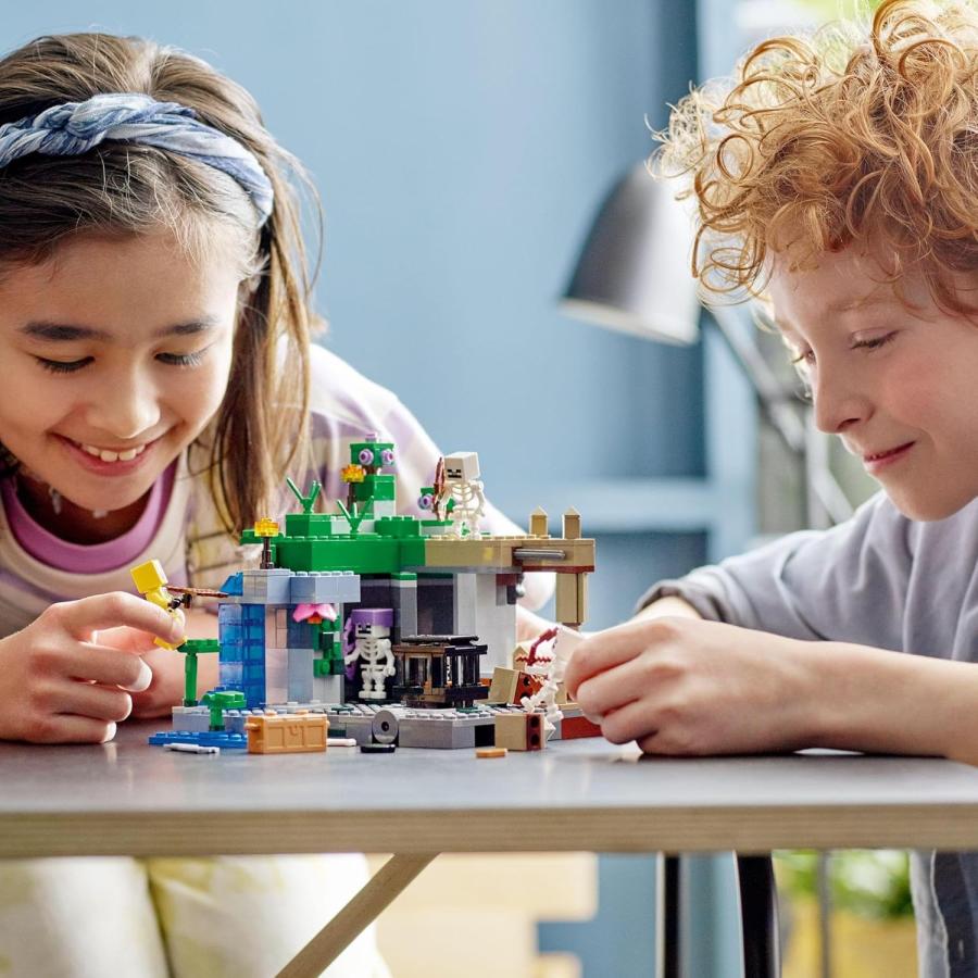 LEGO（レゴ） マインクラフト スケルトンの洞窟 ブロック 21189 : 株式
