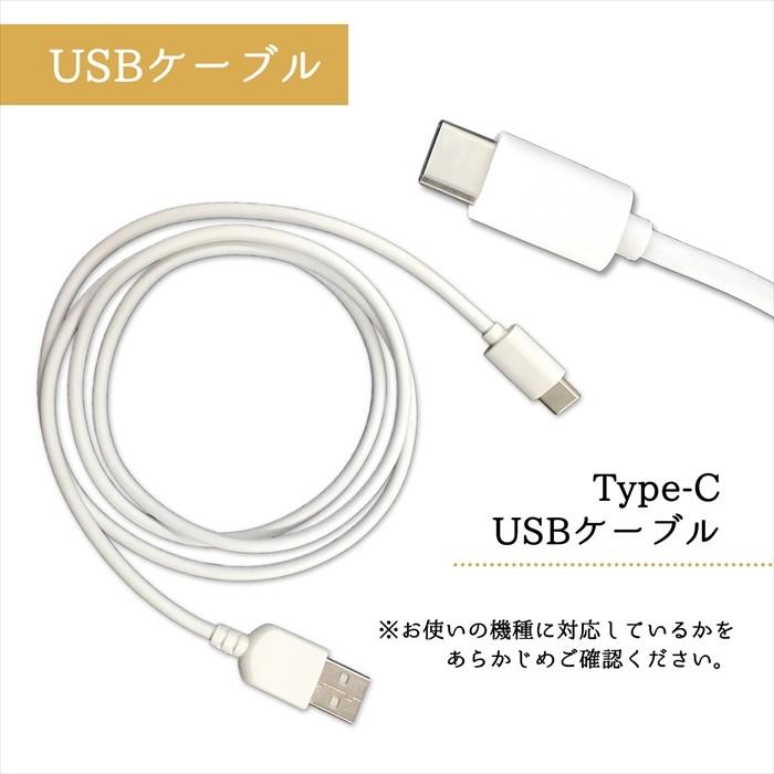 カーチャージャー シガーソケット 2本付き usb 車載充電器 3.1A USBケーブル LEDライト 2口 2ポート micro usb Type-C Type-B アンドロイド スマホ 充電器 | アンドロイド | 01