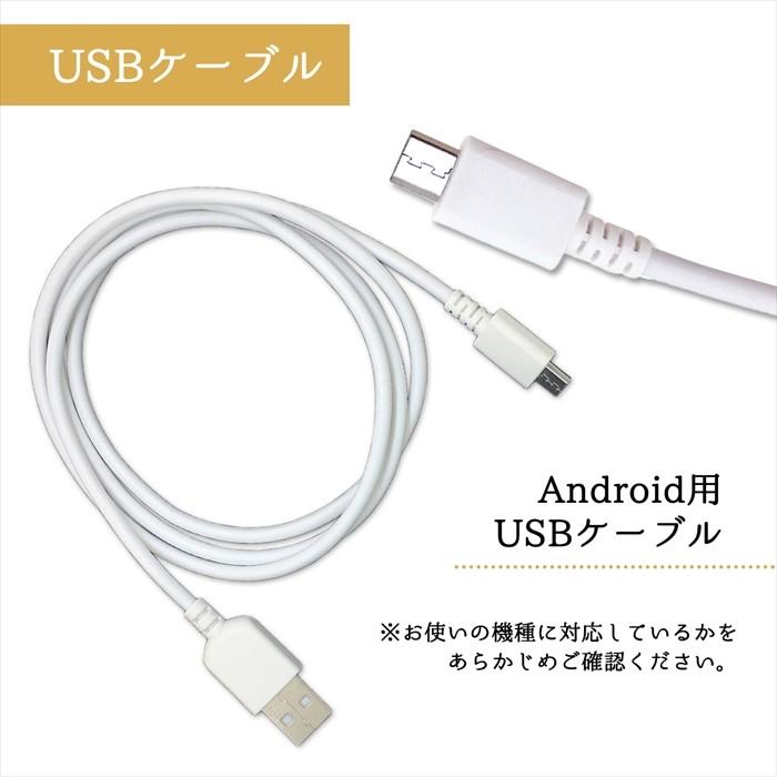 カーチャージャー シガーソケット 2本付き usb 車載充電器 3.1A USBケーブル LEDライト 2口 2ポート micro usb Type-C Type-B アンドロイド スマホ 充電器 | アンドロイド | 02