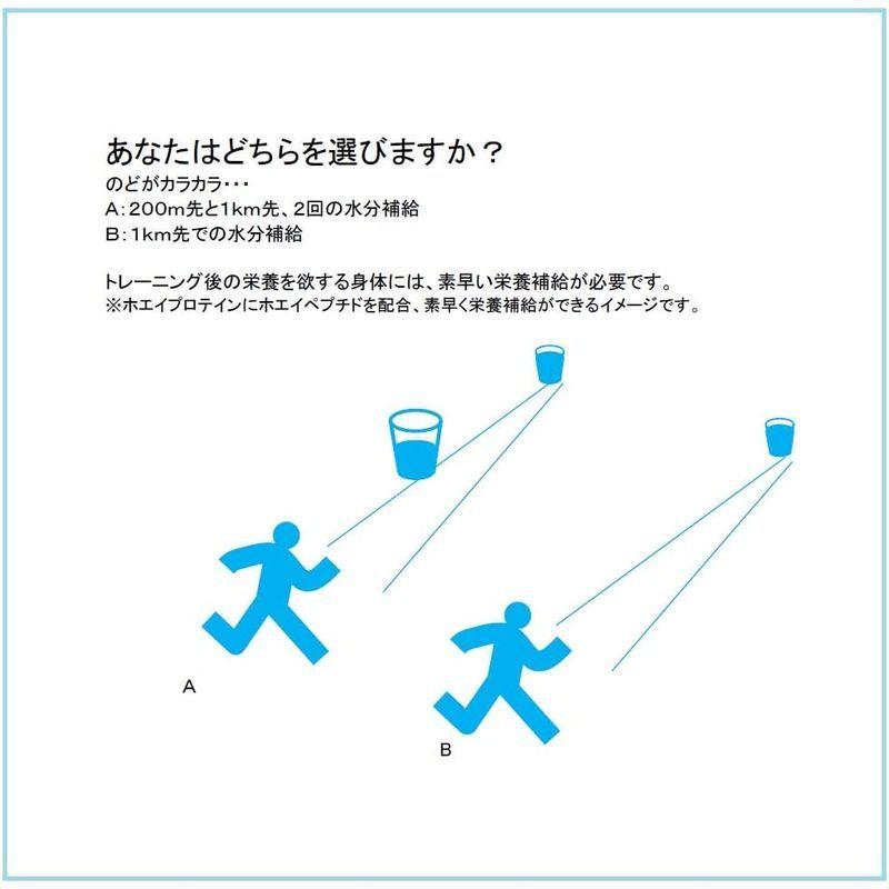 ゴールドジム(GOLDS GYM) CFMホエイプロテイン ミックスベリー風味 2kg GOLDS GYM CFMホエイプロテイン ミックスベリー風味 2kg
