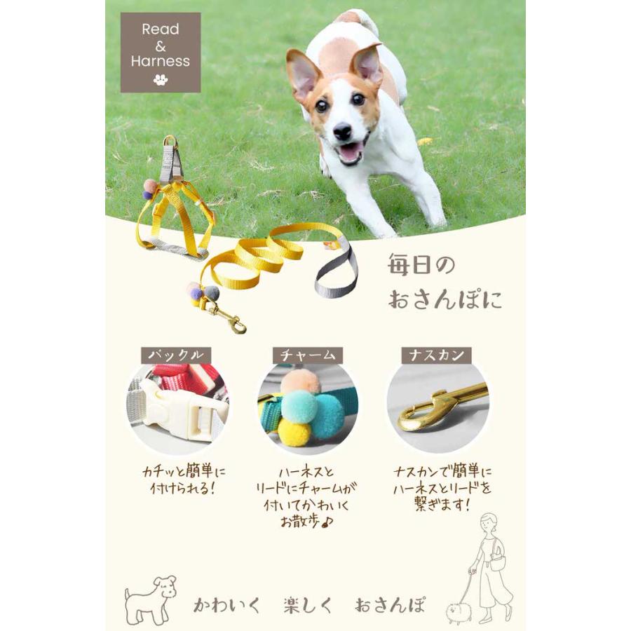 小型犬 ポンポン ハーネス リードハーネス ハーネスリード かわいい