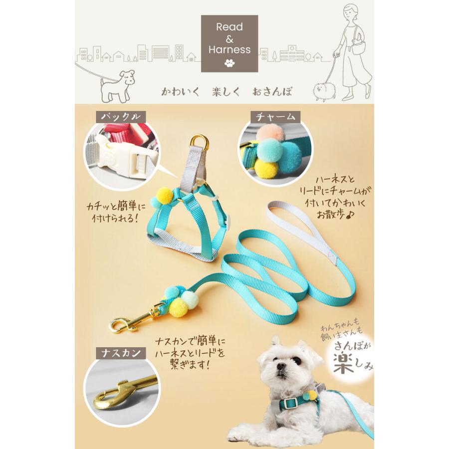 小型犬 ポンポン ハーネス リードハーネス ハーネスリード かわいい