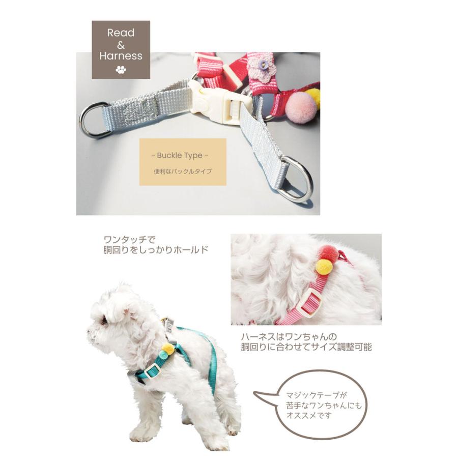 小型犬 ポンポン ハーネス リードハーネス ハーネスリード かわいい