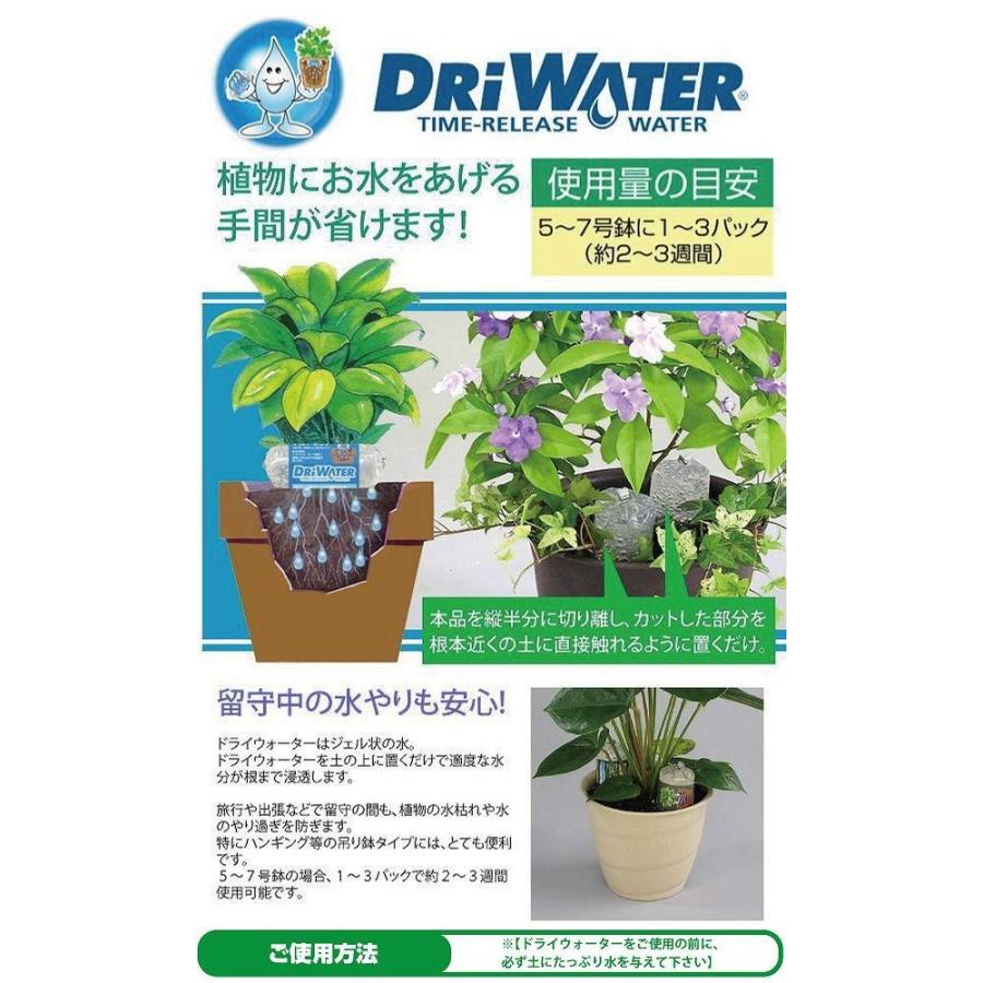 楽天ランキング1位 ドライウォーター10個 3セット 長期旅行 水やり 長期旅行 Su Dwater 2 3p Trend Street Yahoo 店 通販 Yahoo ショッピング 全ての Www Maxipiso Com Ar