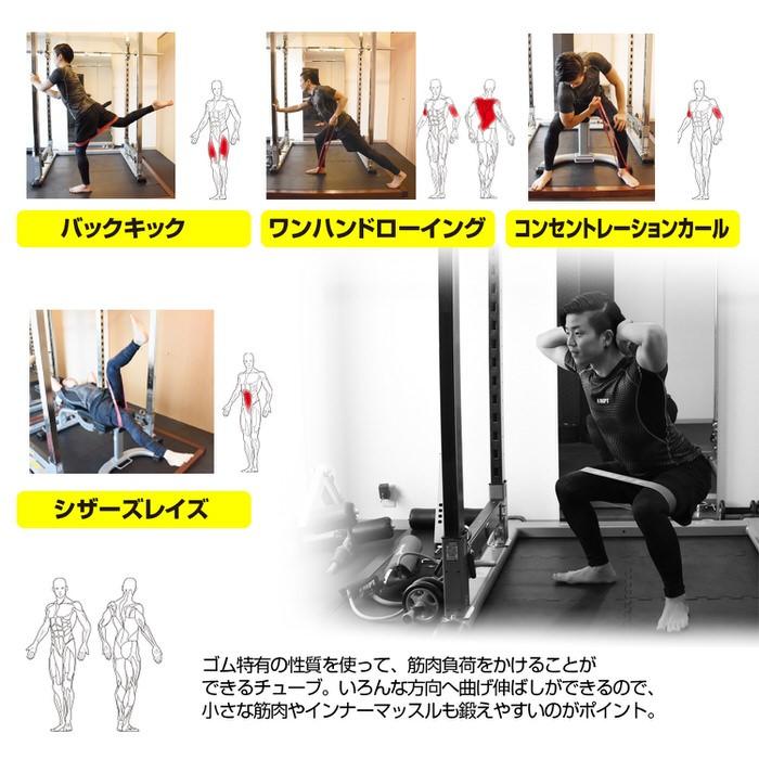 体幹トレーニング ストレッチ　グリーン |  | 10