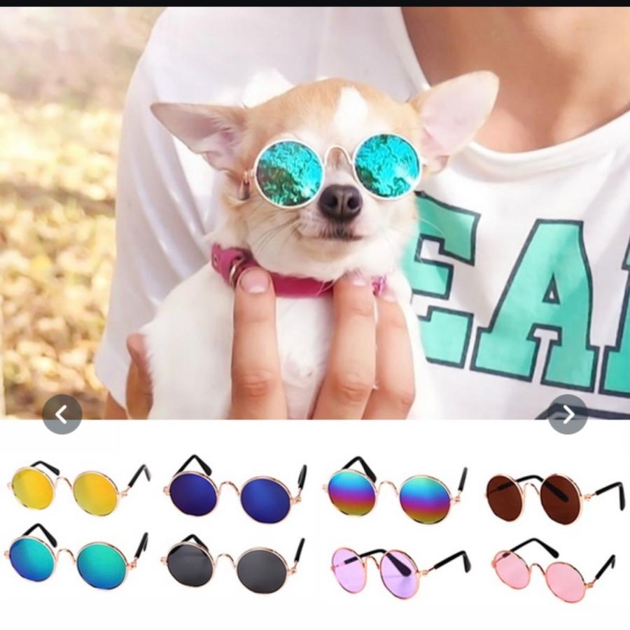 ペット服 撮影 コスプレ 小型犬 サングラス 犬 猫 ぺっと トイプードル チワワ ダックスフンド Pet2 トレンドホワイト ヤフー店 通販 Yahoo ショッピング