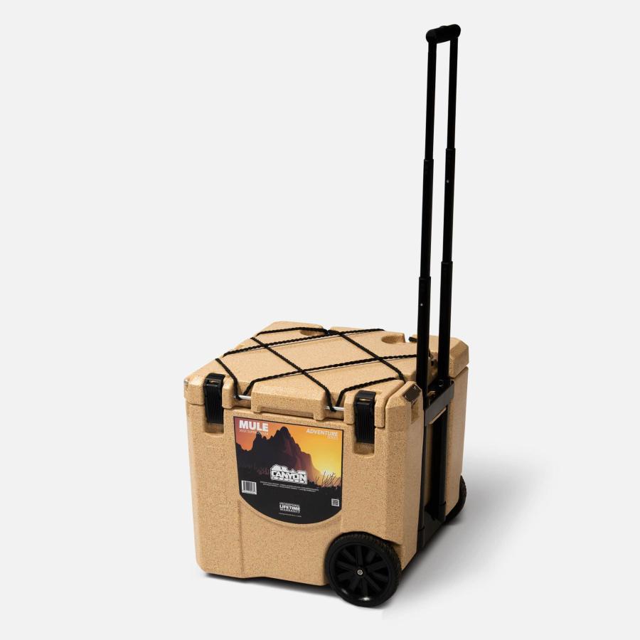 クーラーボックス CANYON COOLERS ハードクーラー MULE（ミュール）30