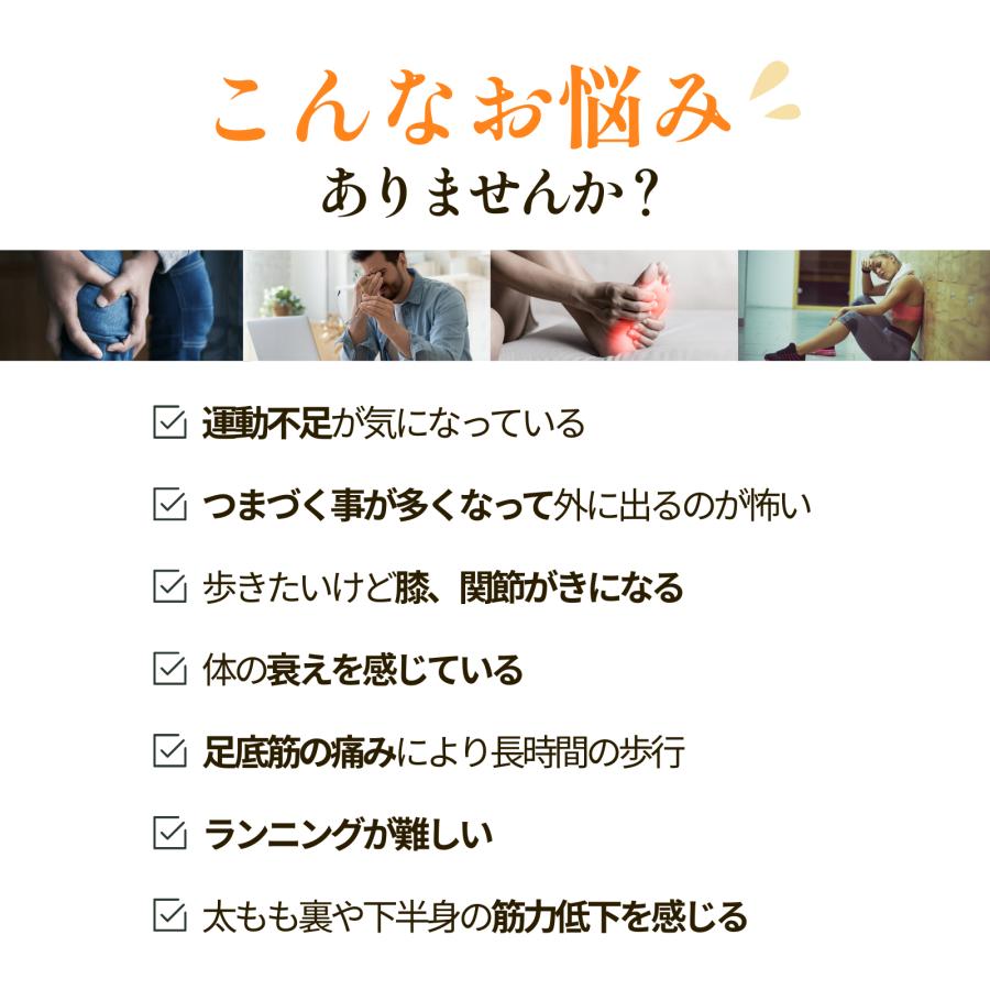STEP WALKER（ステップウォーカー）EMS搭載 電動ステッパー 全自動歩行トレーニングマシン RIML FIT（リムルフィット）転倒防止 健康促進_3