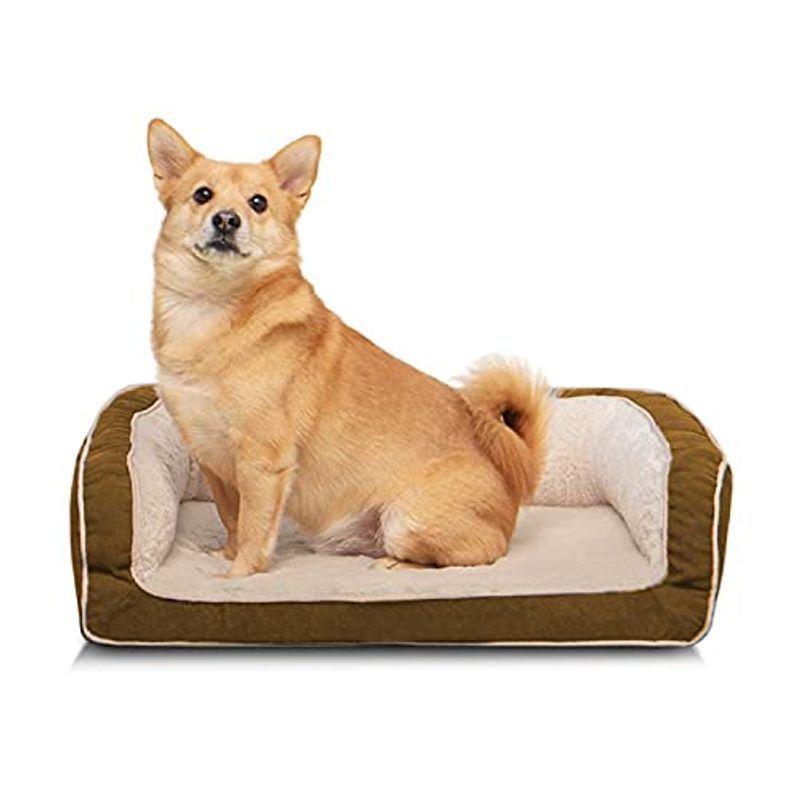 Accotia 犬ベッド 猫ベッド 極厚 約5cm ペットベッド ペットソファー ふわふわ クッション性が ぐっすり眠る ペットクッション ペットシーツ トイレシート Vest Doctum Edu Br