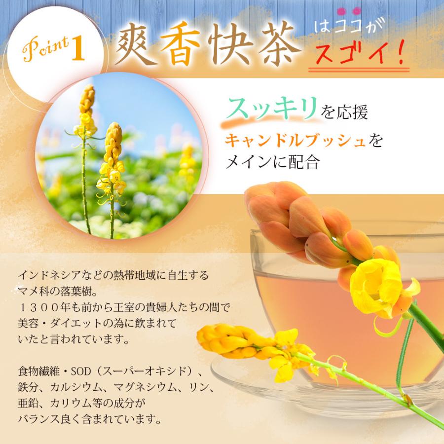 66%以上節約 爽香快茶 30包 ダイエット茶 ダイエット お茶 ダイエットティー 茶 健康茶 ダイエットドリンク ティーパック キャンドルブッシュ ゴールデンキャンドル wantannas.go.id 66%以上節約 爽香快茶 30包 ダイエット茶 ダイエット お茶 ダイエットティー 茶 健康茶 ダイエットドリンク ティーパック キャンドルブッシュ ゴールデンキャンドル wantannas.go.id