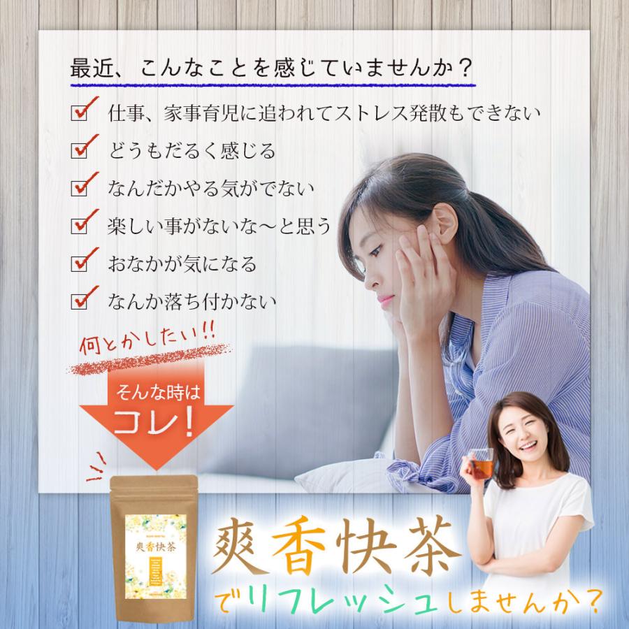 通常便なら送料無料 爽香快茶 60包 健康茶 ダイエット ダイエットティー ティー