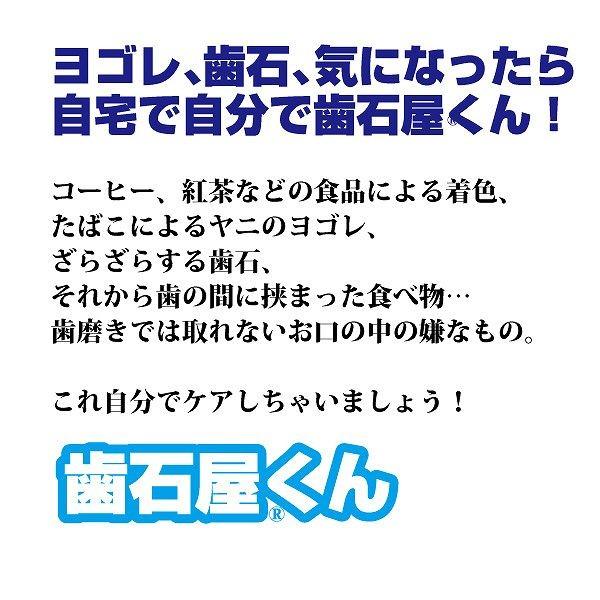 歯石屋くん(R) 白い歯で印象が変わる 歯石 対策 歯石 |  | 03