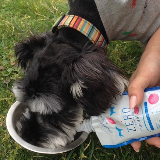 ペット 水素水 130ml 10本 ミネラルゼロ 犬の水 猫の水 ペットの水 ペット用飲料水 水分補給 加温 保存水 災害 防災 飲み水 軟水 純水 硬度0 ZEROミネラル mini |  | 01