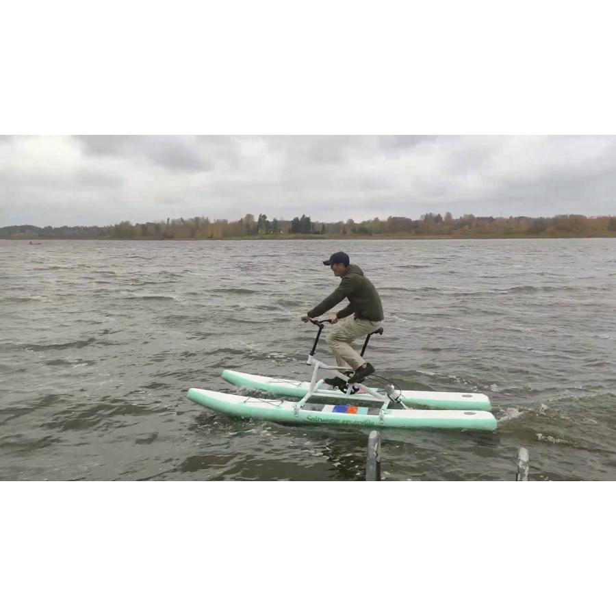 水上自転車 ウォーターバイク 水上サイクリング Whirligig beetle EXーB３３００の画像