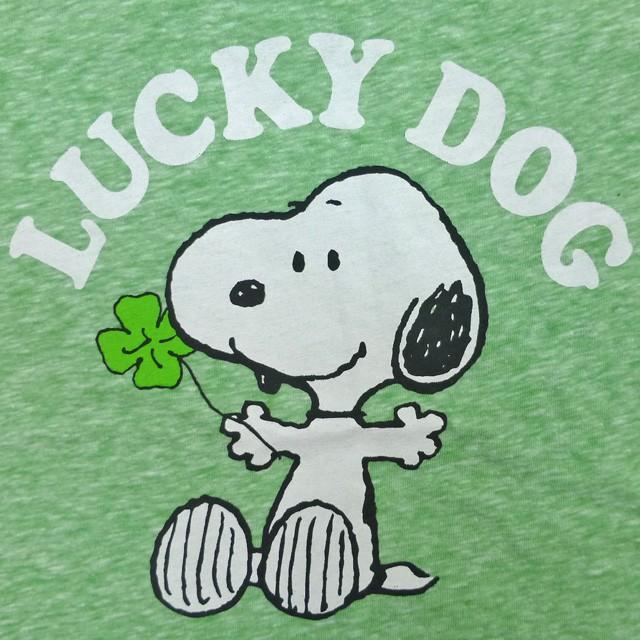 海外正規ライセンス Toddler Boys Peanuts Lucky Dog Snoopy Tee キッズ Tシャツ 半袖 ピーナツ スヌーピー ケリー ゆうパケット対応 Sst0151 Trick Or Treat 通販 Yahoo ショッピング