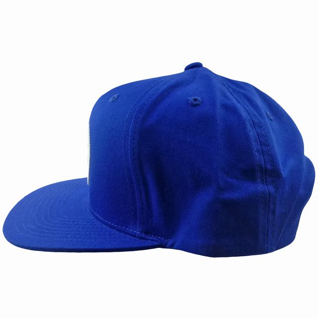 STUSSY（ステューシー） Stussy SS-Link Cap キャップ SSリンクロゴ