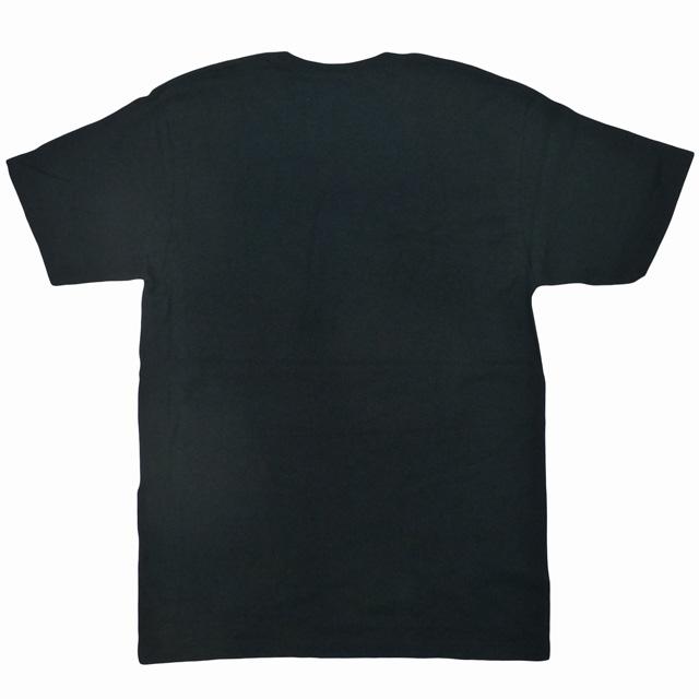 STUSSY（ステューシー） Stussy Link Tee SSリンク 名作 アイコン