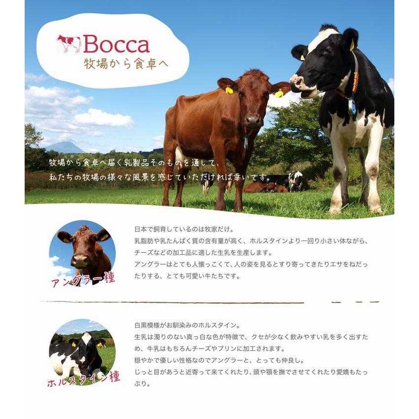 Bocca　牧家のクリームチーズケーキ【4個入】｜tricot106｜03
